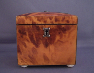 Regency Blonde Tortoise Tea Caddy