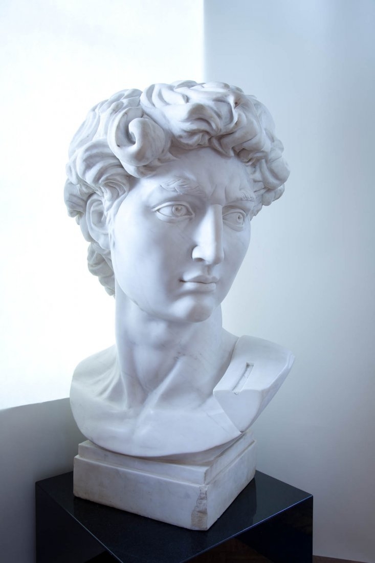 Carrara Marble Bust of David