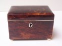 Small Regency Period Tortoise Shell Tea Caddy